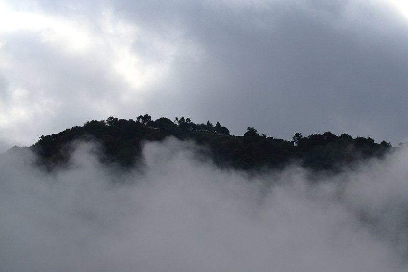 f0031423_2104732.jpg