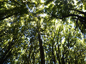 d0023725_18404291.jpg