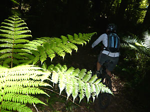 d0023725_1841435.jpg