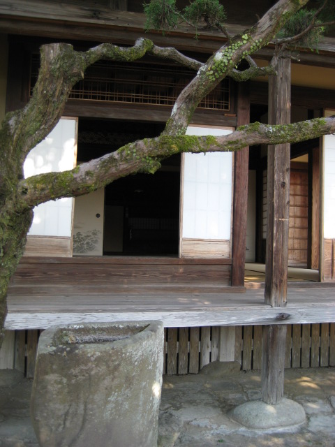 d0147727_20472725.jpg