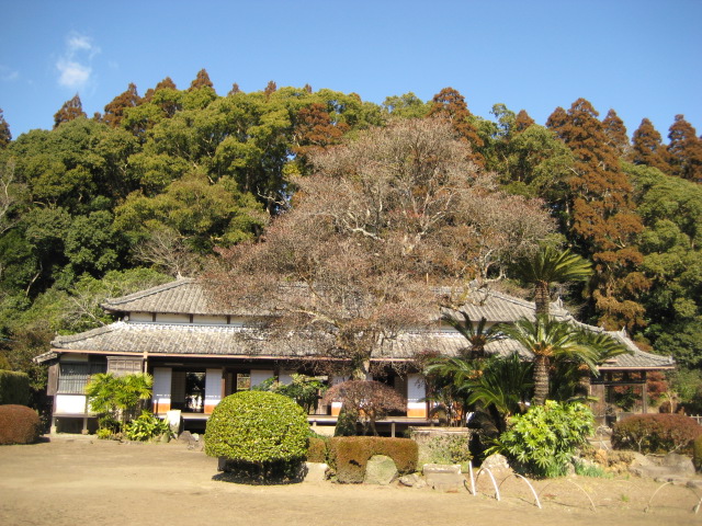 d0147727_20502836.jpg