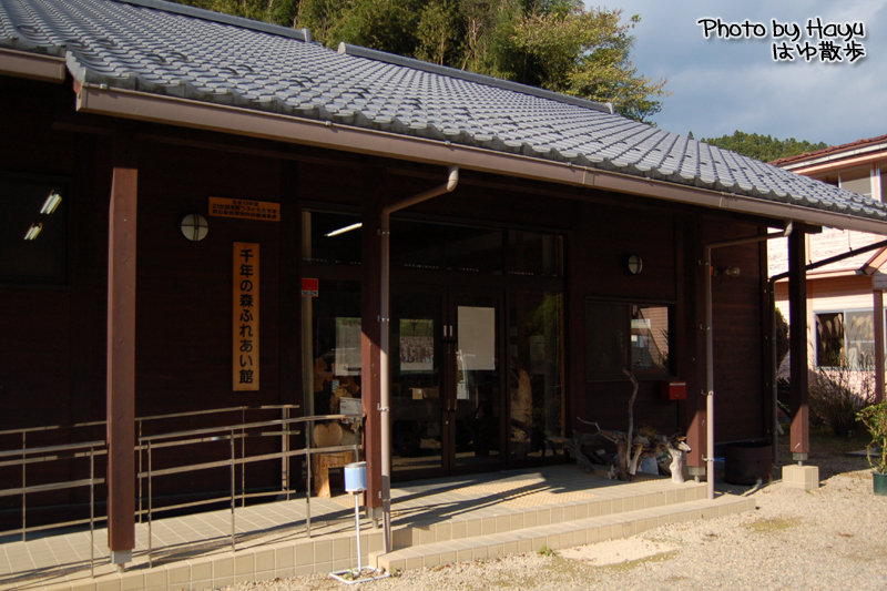 a0059328_1442447.jpg