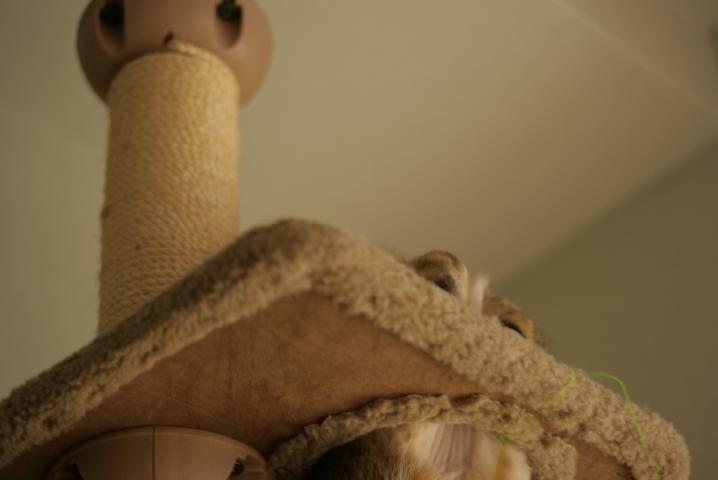 f0055228_17395443.jpg
