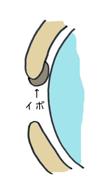 e0008833_10351444.jpg