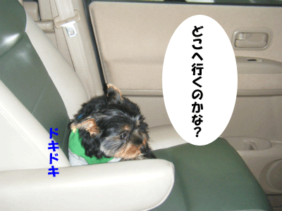 f0008935_4254180.gif