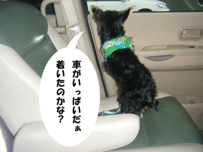 f0008935_426338.gif