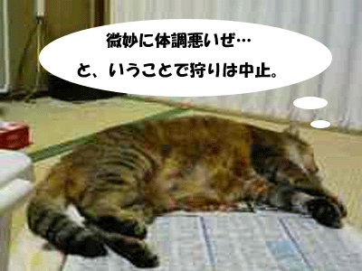 f0008935_4303384.gif