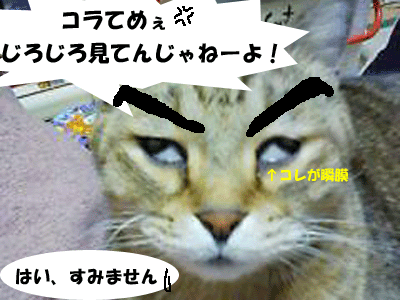 f0008935_4333197.gif