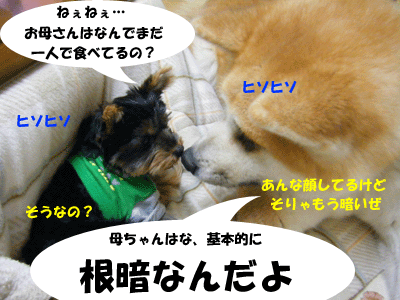 f0008935_4412096.gif