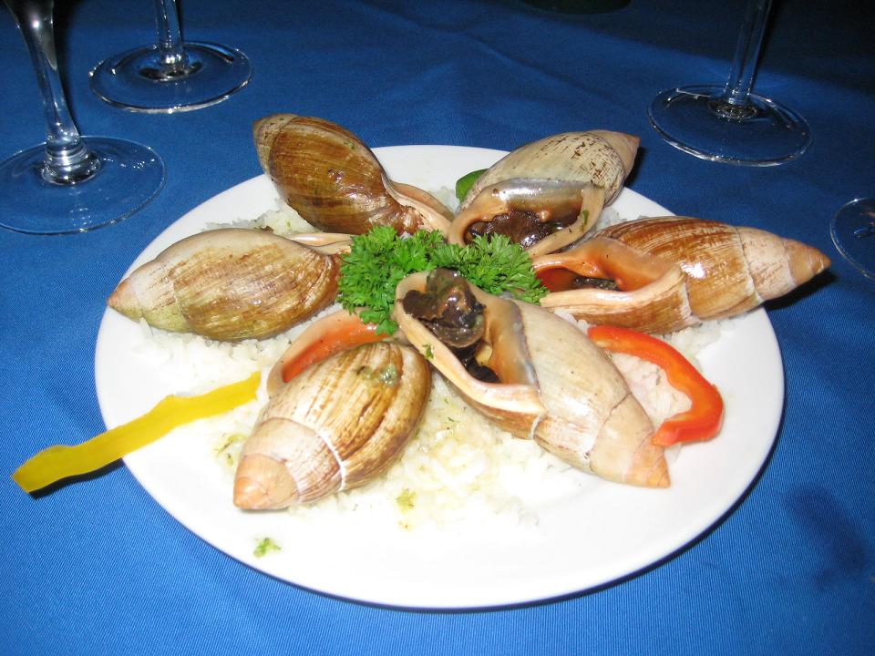 f0108036_2283100.jpg