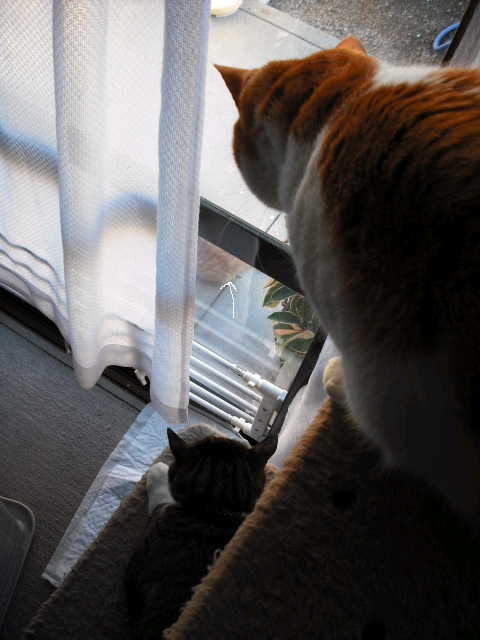 c0194042_21571422.jpg