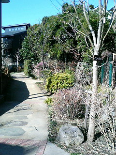 e0150843_18372668.jpg