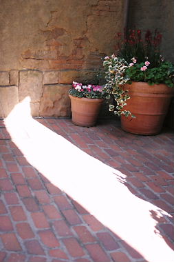 f0144444_2235462.jpg