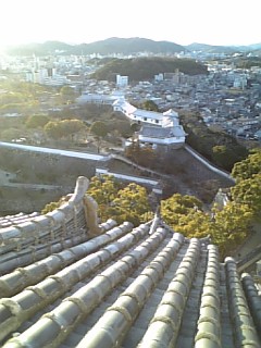e0148948_1564084.jpg