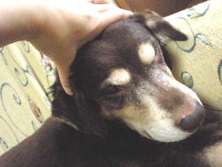 d0006253_14464171.jpg