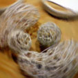 d0029958_19144082.jpg