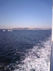 a0065062_1351924.jpg