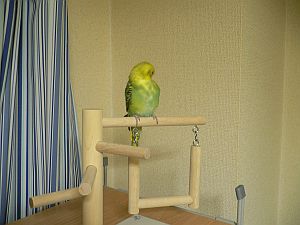 f0196665_0103366.jpg