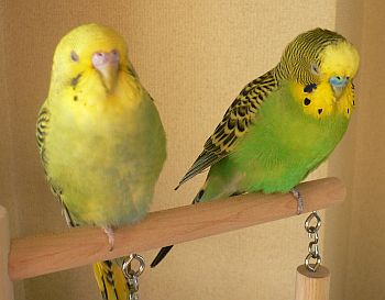 f0196665_016525.jpg