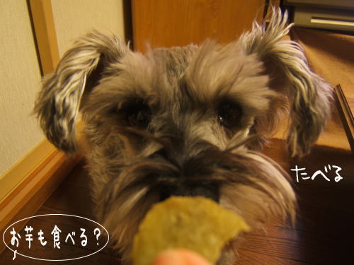 f0145575_2011433.jpg
