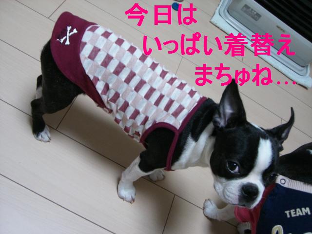 c0179376_20501399.jpg