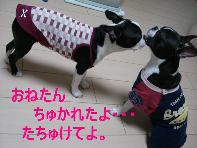 c0179376_20503477.jpg