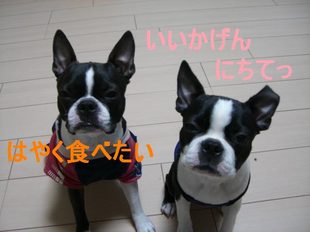 c0179376_20505979.jpg