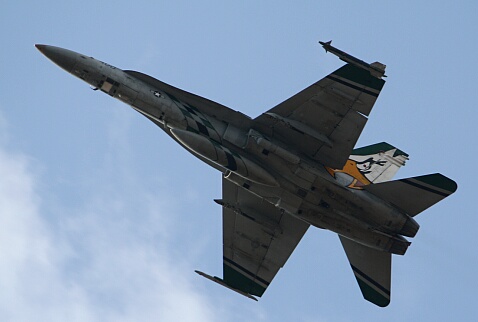 c0073377_2344959.jpg