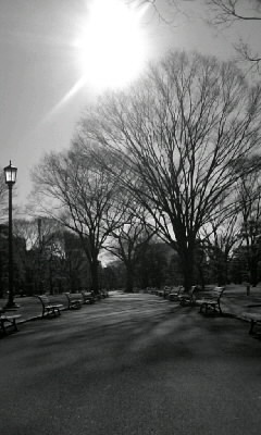 f0100480_20291051.jpg