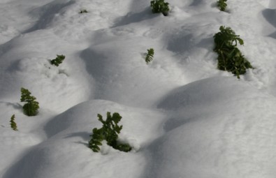 c0144185_12303291.jpg
