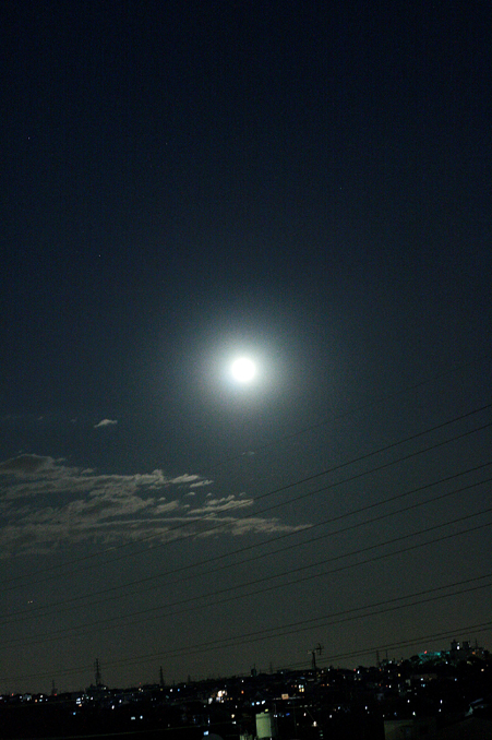 d0151787_1522279.jpg