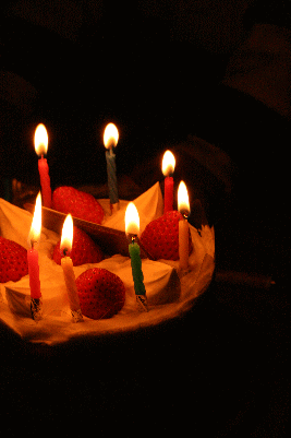 d0100192_23524470.gif