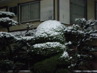 f0181394_2192281.jpg
