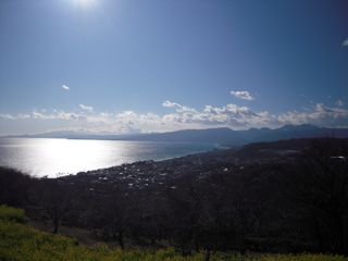 d0010496_16465113.jpg
