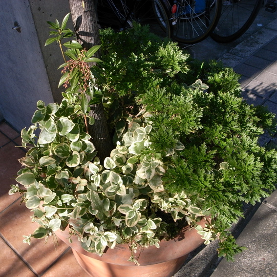 f0108399_2234837.jpg