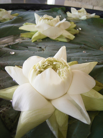 e0043700_21554941.jpg
