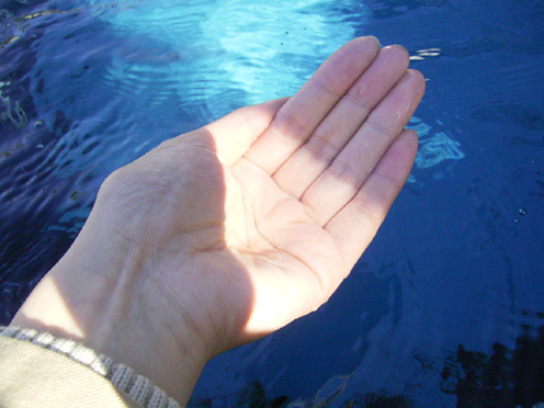 e0043700_2214366.jpg