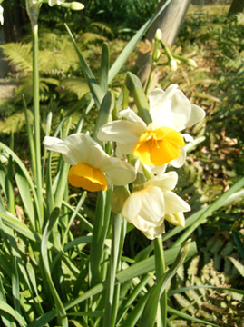 e0043700_2221732.jpg