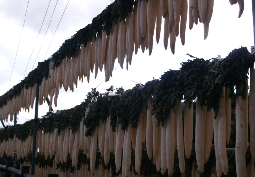 e0089001_010448.jpg