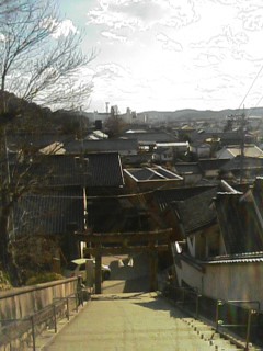 f0051101_16402589.jpg