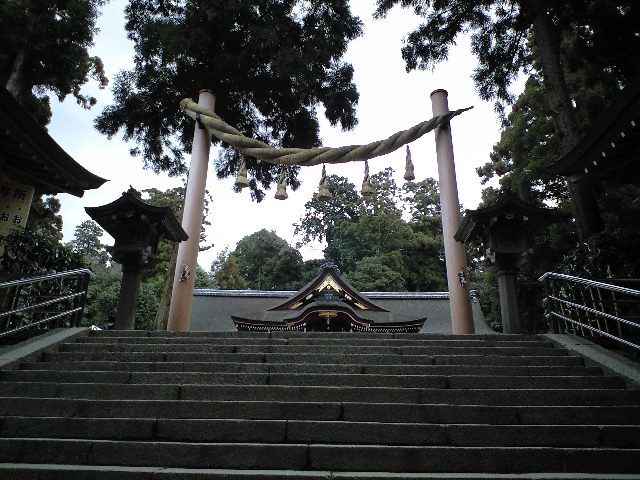 d0000607_07227.jpg