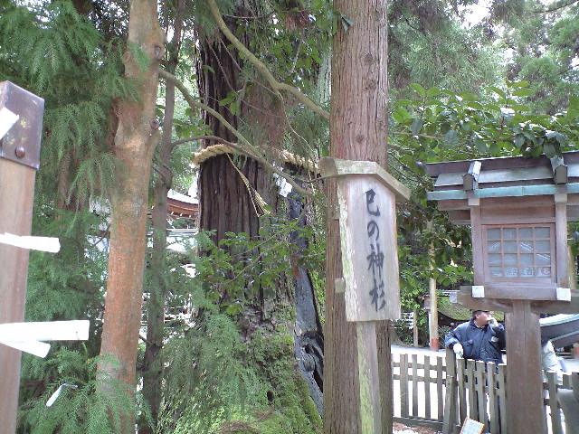 d0000607_072270.jpg
