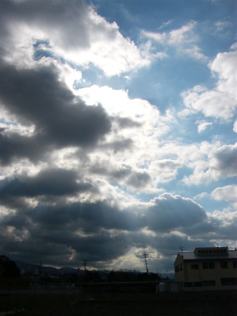 d0068807_1214254.jpg