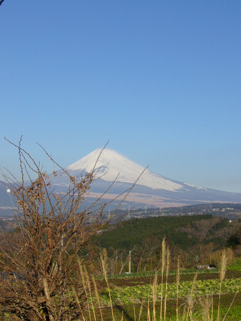 e0015108_1740751.jpg