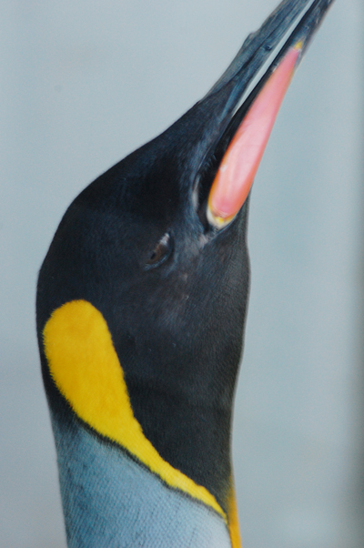 b0150811_15561.jpg