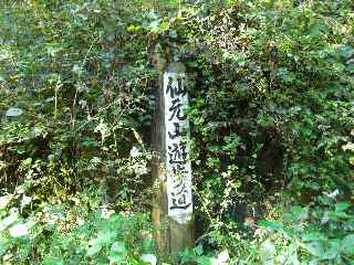 c0051112_13571576.jpg