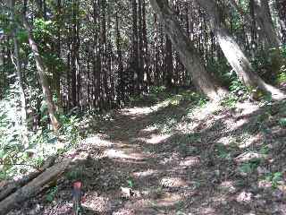 c0051112_13572765.jpg