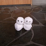 c0094621_1175711.jpg