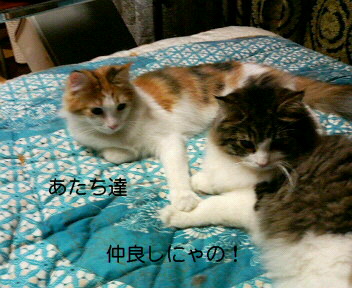 a0090729_6234882.jpg