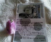 a0090729_6292131.jpg